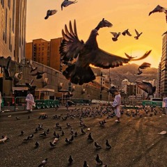 اليوم آتي للمدينة💙🥺