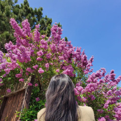 𝒜𝓉 𝓂𝓎 𝓌𝑜𝓇𝓈𝓉