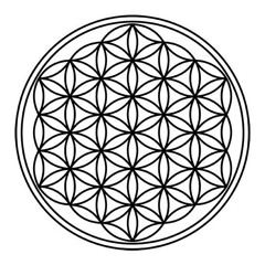 RESONANCE IS FREEDOM