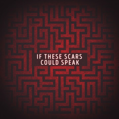 If These Scars Could Speak