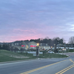 goldfish (jane remover cover)