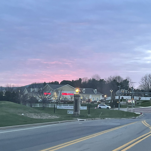 goldfish (jane remover cover)