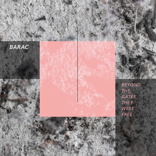 B2 - Barac - The Fall Of Man