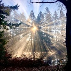 FELL OUTT prod. kenzee thep4x