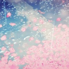 Saat Musim Berganti (ft. Kara, Clinton & Zhou)