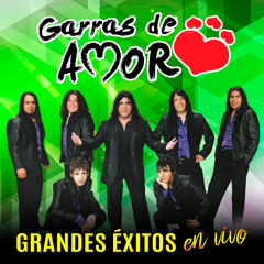 Amor Prohibido (En Vivo)