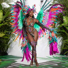 Carnival Vibes 🔥Greatest Bendover Edition & Something for The Ladies pt.5 🔥 Inna Dancehall & Soca