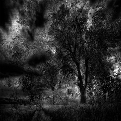 Мёртвая Шлюха