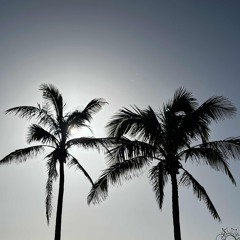 Disco House mix