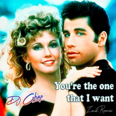 Dj Chap - You're The One That I Want Zouk Remix
