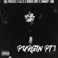 TAE FINESSE X LILZ G X RODEO JDOT X SMURFF EBK - PURGIN PT.3 (Official Audio)