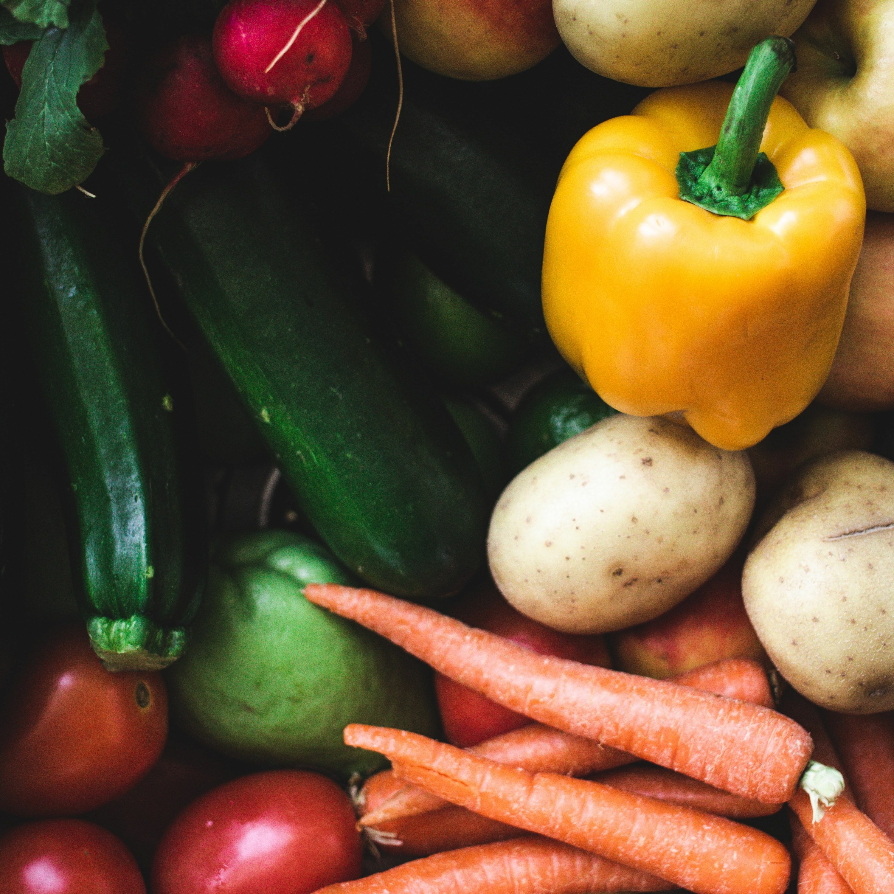 Mercredis Ecologie - Youmatter