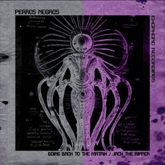 Perros Negros - Going Back To The Matrix (Original Mix)