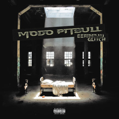 MODO PITBULL (BERIMBAU GLITCH) - DJ SAMON PESSOA, DJ MATMET feat. ARI FALCAO, FERNANDINHO FN