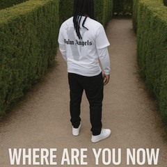 WHERE ARE YOU NOW