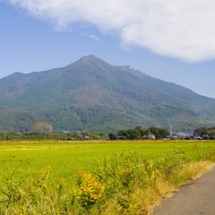 I see 2025 [FREE DL] short