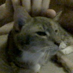 I'm not broken you're broken