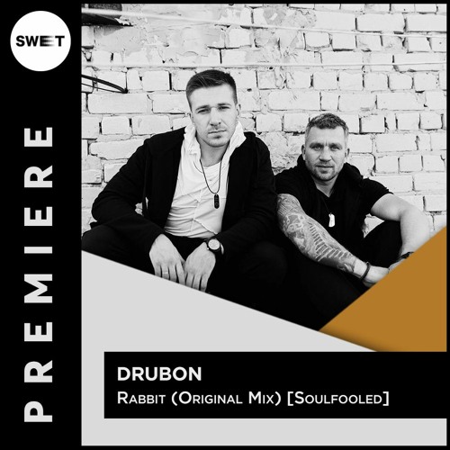 PREMIERE : DRUBON - Rabbit (Original Mix) [Soulfooled]