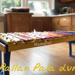 Pallan Pala Dum