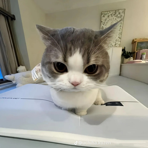 Remix tiktok