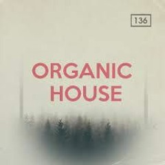 Organic House Mix 20-12-2023