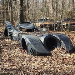 "Air Tune" from John McPhee's "The Pine Barrens"