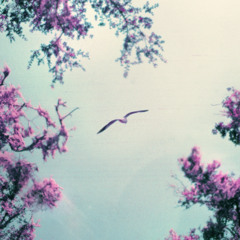 Los Bosques, Chill&Go - Canto Dormido (feat. Vicky Ripa)