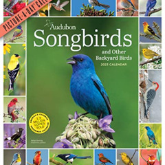 READ EBOOK 📩 Audubon Songbirds and Other Backyard Birds Picture-A-Day Wall Calendar