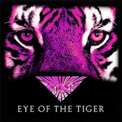 Survivor - Eye of the Tiger (Cult of Neon Remix)