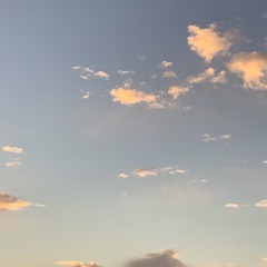 O Jesus, Jesus, Dearest Lord