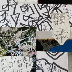 Sunlight On Her Face - 6:16:23, 11.51 AM