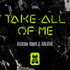 Andrew Rayel & HALIENE - Take All Of Me