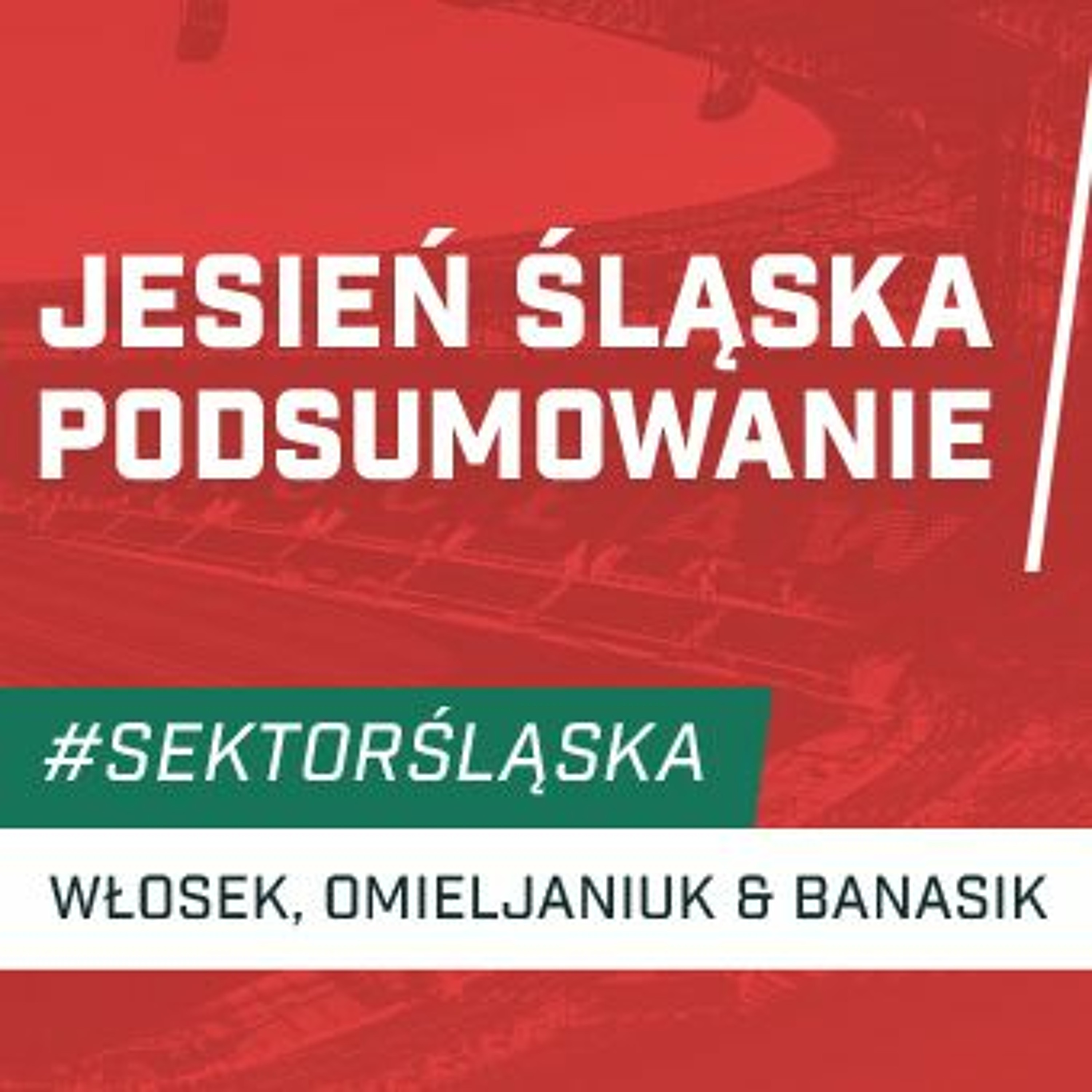 Śląsknet