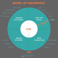 Wheel Of Awareness