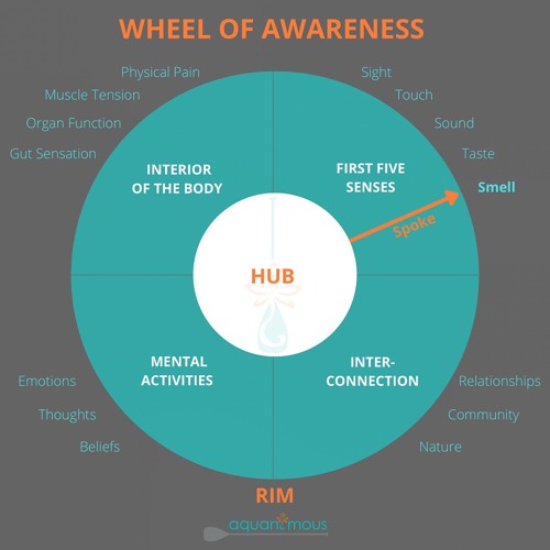 Wheel Of Awareness