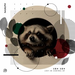 PREMIERE: zAr zAr - Lost In Control