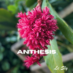 Anthesis