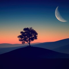 ولكل وجهة هو موليها || حسن أشرف سيف الدين