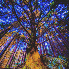 DOOM x Ain't Tellin Ledger Mix