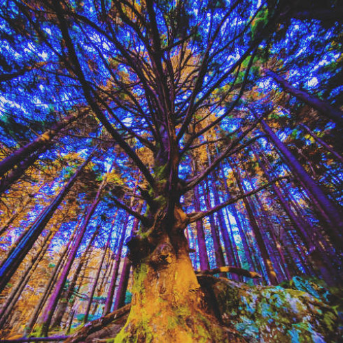 DOOM x Ain't Tellin Ledger Mix