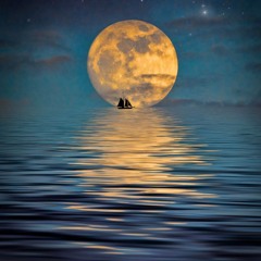 Baying At The Moon [Live Outtake]