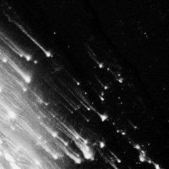 Mix 251123 ::  = 2015 = ' Sanctified Year of Mirth '