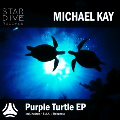 Michael Kay - Purple Turtle (B.A.X. Remix) [Star Dive Records]