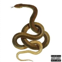 $erpent