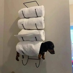 DJ MARSHMELLO e MC GW - Xerecation (DJ Nardini e Jhona) ROCK IN RIO 2022(MP3_320K).mp3