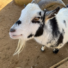 Stand Up Backing Track from Made in Dagenham