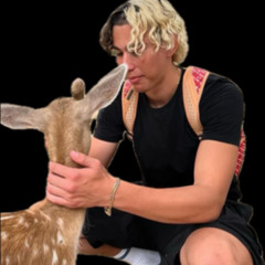 Purple ZAZA (FORTNITE)