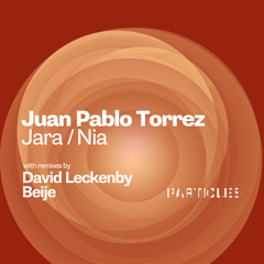 Premiere: Juan Pablo Torrez - Nia [Particles]