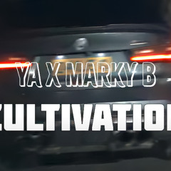 YA X Marky B - Cultivation