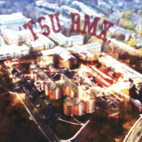 TSU RMX. (MIXED BY JAMS)
